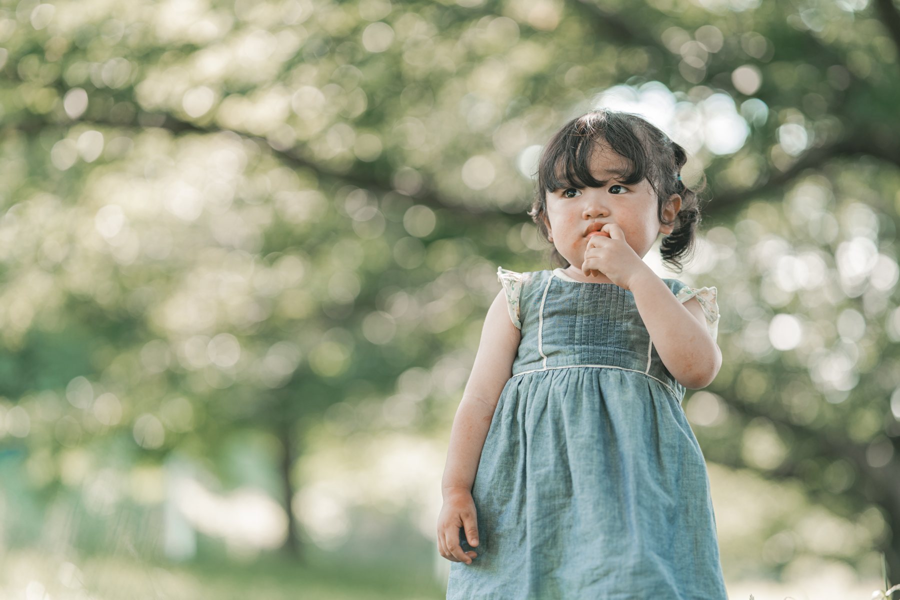 ロケーションフォト写真